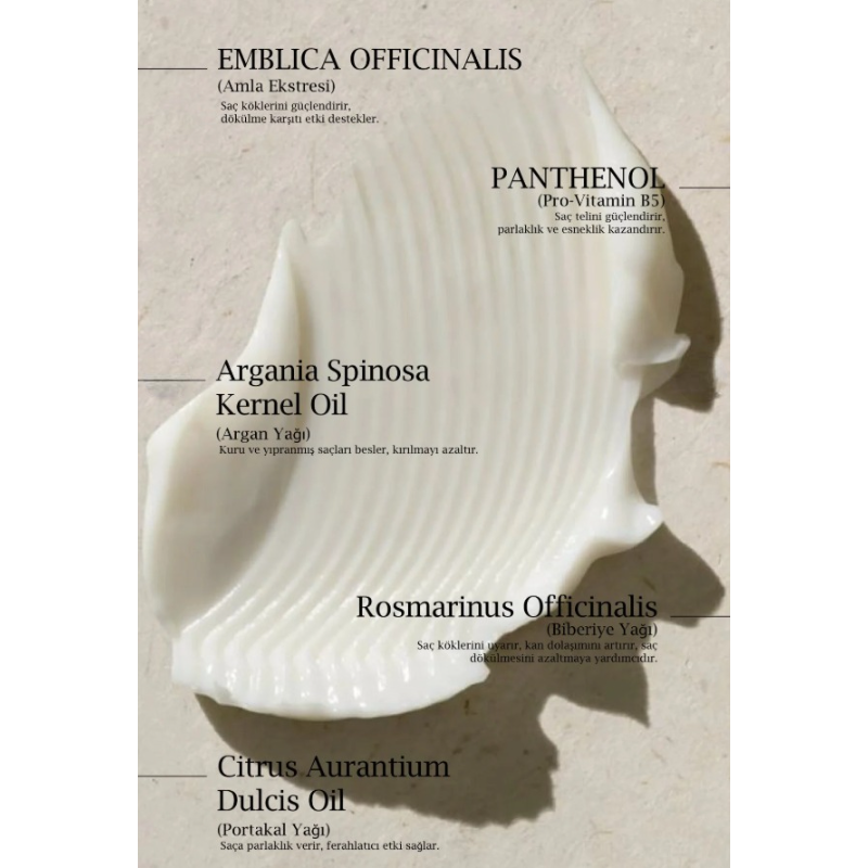 Daily Dream Series Rosemary Hair Mask 220 ml - Intensief Voedend & Versterkend Haarmasker